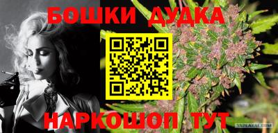 гидропоника Сланцы
